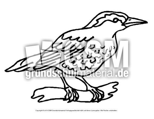 Ausmalbild-Drossel.pdf